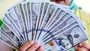 قیمت زمان بازگشایی دلار، یورو و سایر ارزها امروز ۷ تیرماه ۱۴۰۵/جدول